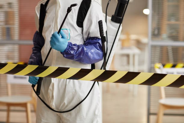 Professional Sewage Cleanup technician working in Warren, OH